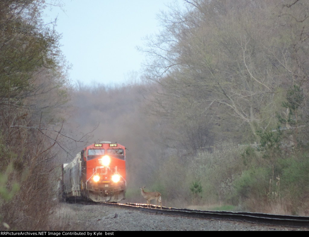 CN 2872 on 309